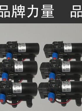 sa/ag电动隔膜d泵泵增压UHT泵小型w洗车水泵直流n12v60抽水泵