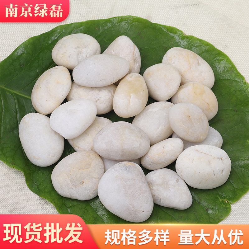 白色鹅卵石 园林景观抛光雨花石头 鱼缸装饰水池垫底小石子
