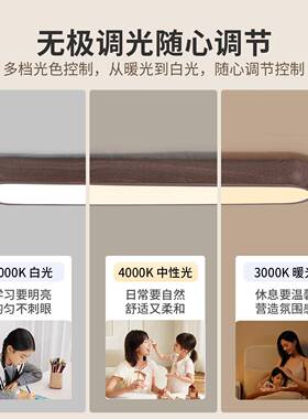 新中道10936式走过吸顶灯复古胡桃木长简条玄关入户创廊意极吸顶