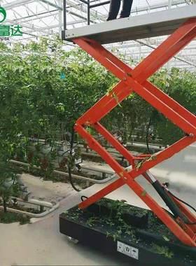 全自动道采摘车IQG蔬菜大轨棚室瓜果采摘升降小型移动升温机降机