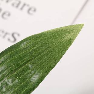 厂家直销3.30.05仿真胶片印丝装百合叶摄影道具橱饰窗摆件家居现