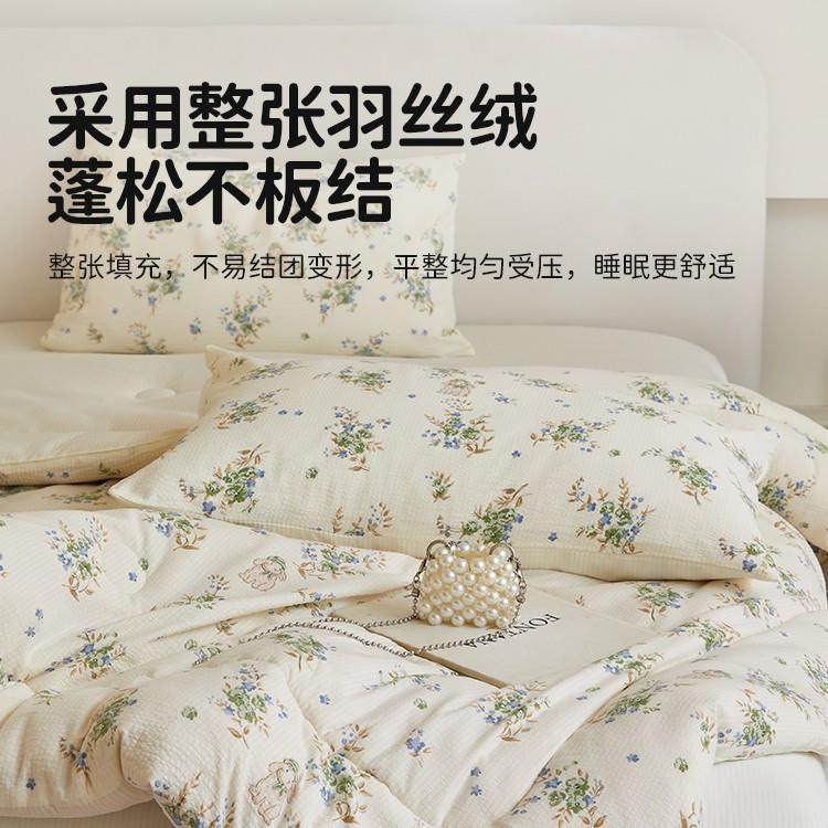 A类泡泡被子冬被家用棉被四舍季通用春秋ZOV棉被学宿单人加生厚被