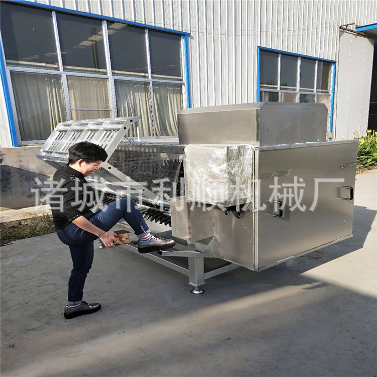 厂家不锈钢整羊刨毛机
