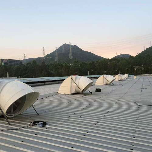 工机厂JQL殖用通风设养备风弯头防雨专帽
