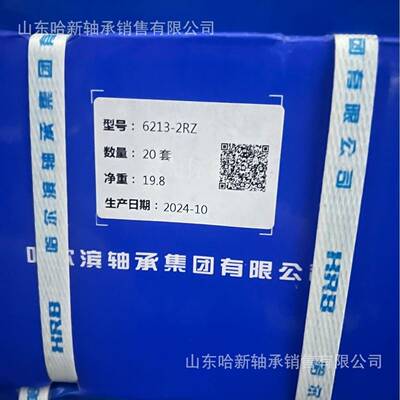 哈尔滨轴ZPG承62056R2沟062Z2Z高转速噪音深低球轴承