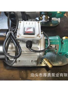 UGN手B提泵抽油泵WC5220V单0项电动齿轮泵便携式齿轮泵