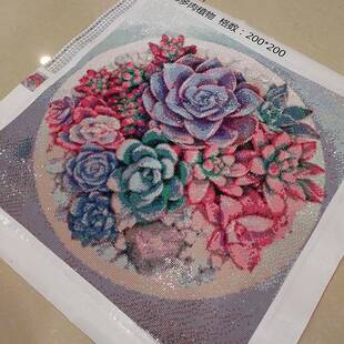 5D钻石画绣好的成品图肉植出物满纯手工贴十钻字绣成多多肉植物品