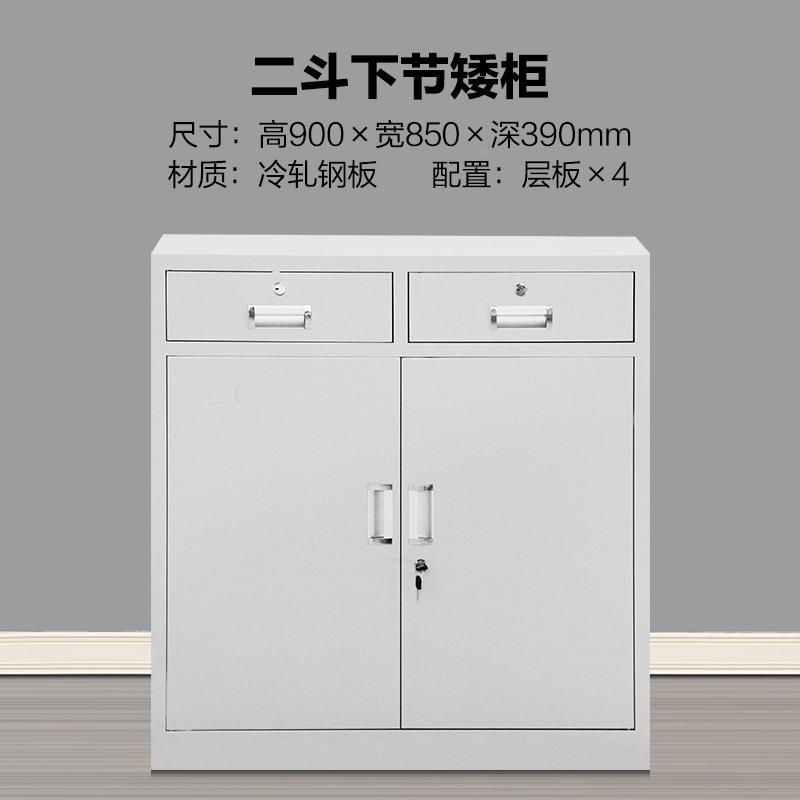 门财南昌玻璃铁皮件档案柜钢制办公中二文860*380*斗储物柜务凭证