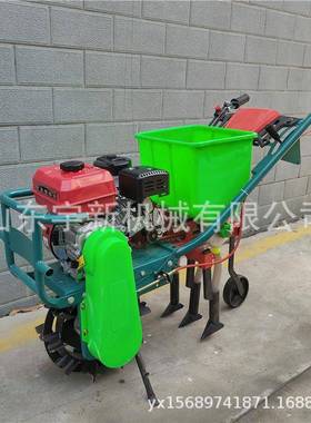 双行汽手推种毛播豆玉米机耘播机LYF油甘蔗地施肥机
