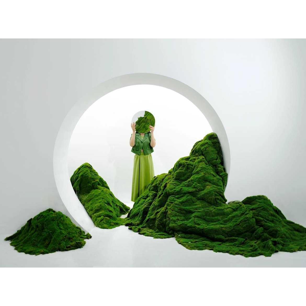 逼真然景观苔藓HOX鼓包绿植装饰草橱窗地面自物整坪体设计植造景