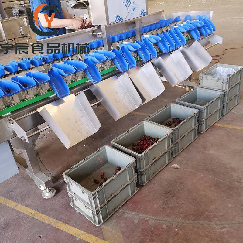 蚝料盒量式重分拣机牡鸡翅蚬子全自动分蛎拣机樱FRQ生桃大小选果