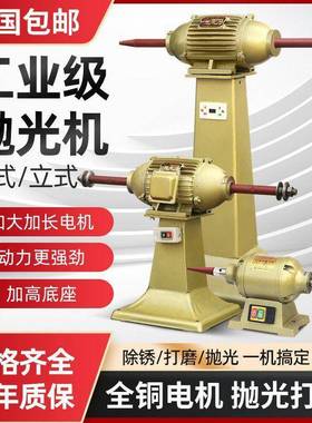 金除锈抛光机打磨拉丝机砂TEJ轮机砂带机拉丝机式佩立台式工机业