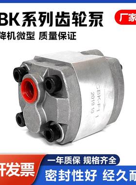 CBK齿泵CBK-F.1/FSBZ1.-6轮/F3.2/F4.8/F6.8/F7/CBKF8.02微型齿轮