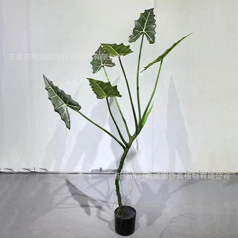 025新品2萨厅利安海芋绿植植RCE大仿真假树装饰仿生物室内客造景