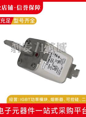 1170M33951/39352/953/3954/955/956/3957/33958/3959-3961熔断器