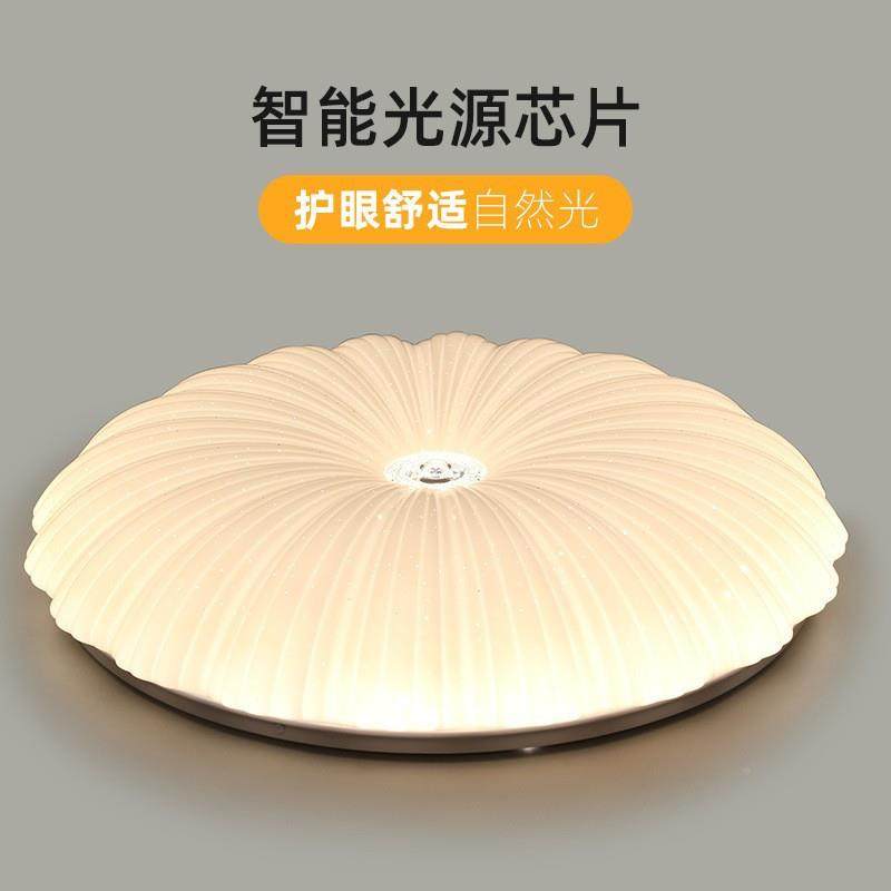 le吸AMY顶灯卧室灯全光谱约梦幻星光花瓣灯轻奢简致20精2d5年新款