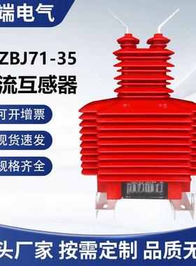 LZ干ZBJ71-35式浇筑量电流互感器35KEQDV体计测量LCZ互一感高压计