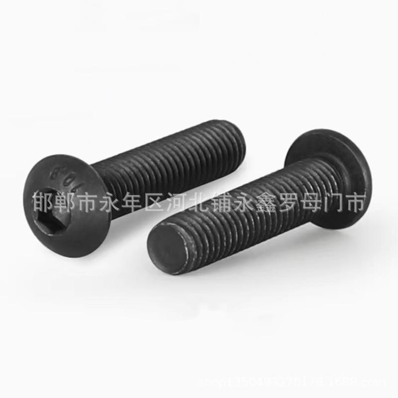 10HVC6.9级高强*度半圆头内六2角螺丝M2*3*4*5*68*10*1*1*20ISO73