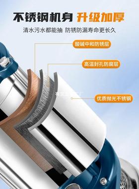 臣源不锈钢潜水泵220小v家用型高扬程井水抽水农灌用溉排VBE污泵
