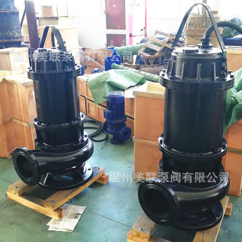 300QW800-15-55潜水排污泵