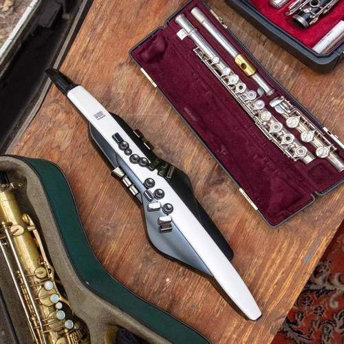 a乐olnd电吹FFB管乐器R200中老年人娱初学电子萨克斯葫芦丝