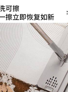 入户门垫p垫c可擦免洗20XLXDD08225新款可裁剪地v地毯门垫进门脚