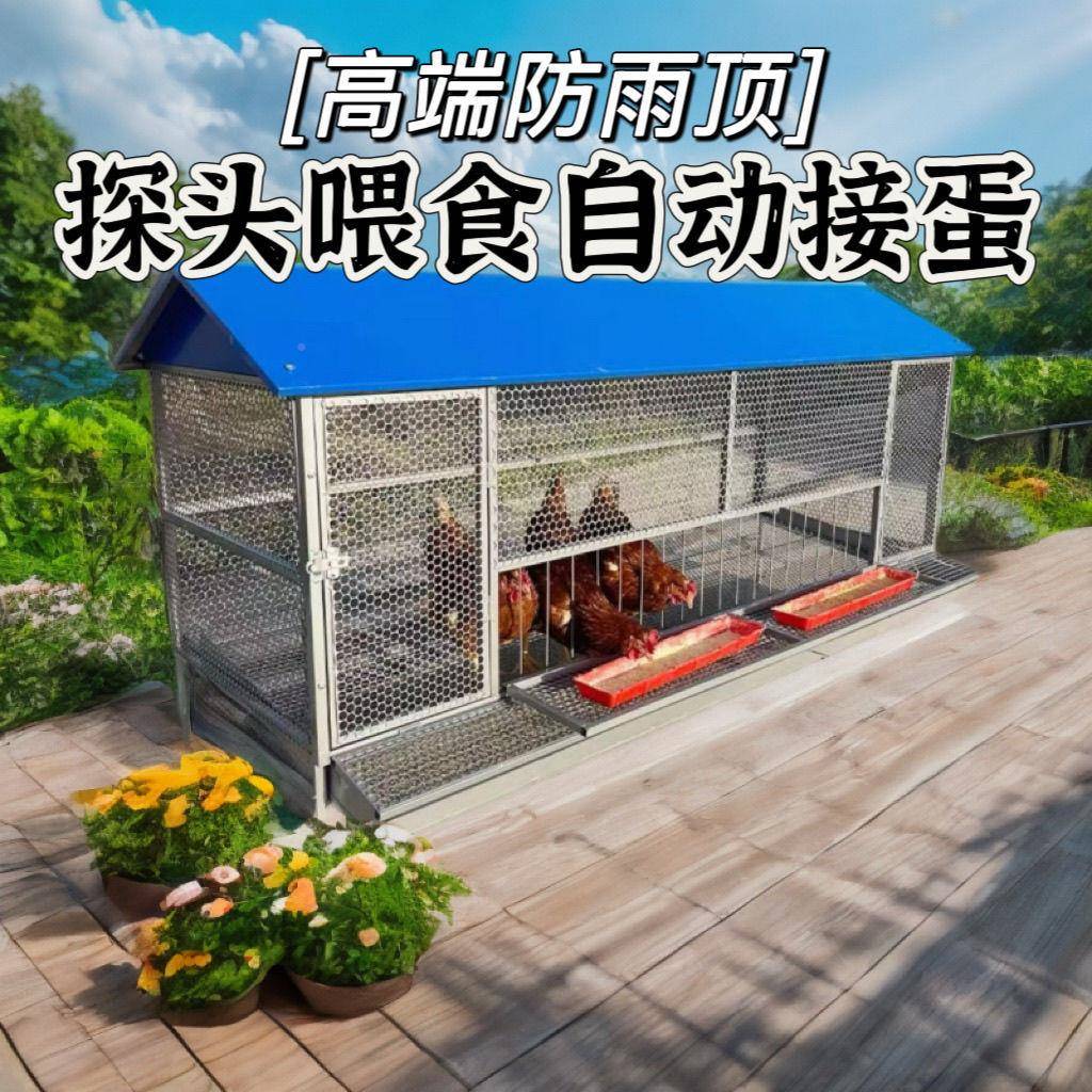鸡笼防KTL子家用大号特自大家禽养殖笼鸡鸭笼加厚动滚蛋鸡笼蛋托