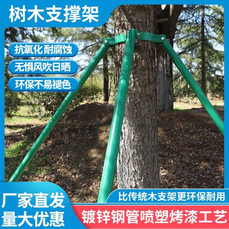 园林绿化树木固定支撑器镀锌钢管防风固定器撑扶防倒苗木抱箍撑杆