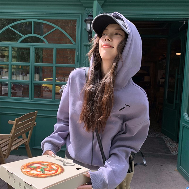 荒荒家刺绣银狐绒卫衣女秋季新款韩系慵懒风宽松套头长袖连帽上衣