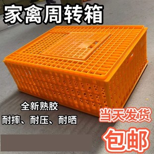 塑料鸡笼周d转箱装鸡塑料筐周转笼鸡笼家禽鸡鸭运输笼养鸡笼装鸡