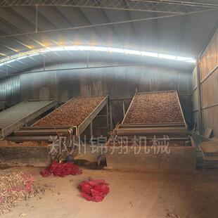 洋姜网带式烘干机 不锈钢姜片姜片网带烘干机器 生姜循环干燥机器