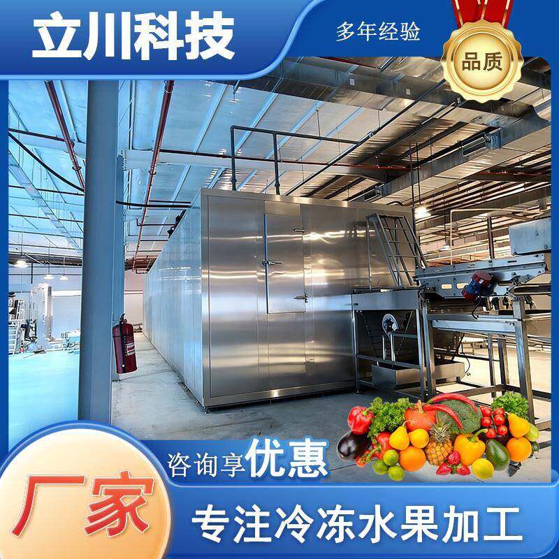 西蓝花流态化速冻机馄饨海鲜大型速冻设备受冷快速均匀立川