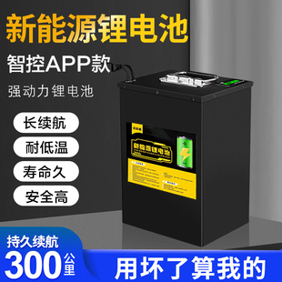 电动车电池大容量锂电池48v60v两轮三轮车外卖专用磷酸铁锂锂电瓶