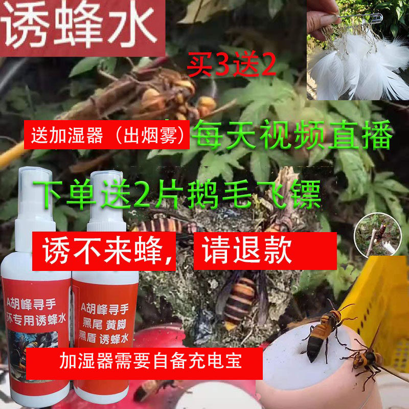 马蜂诱蜂水招蜂水野外引蜂神器金环蜂黑尾黄脚七里黑盾黄腰雾化款