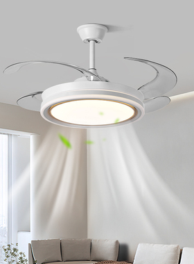 吊扇灯客厅吊灯简约现代北欧吊扇灯202G3年新款变频灯扇一体Q552
