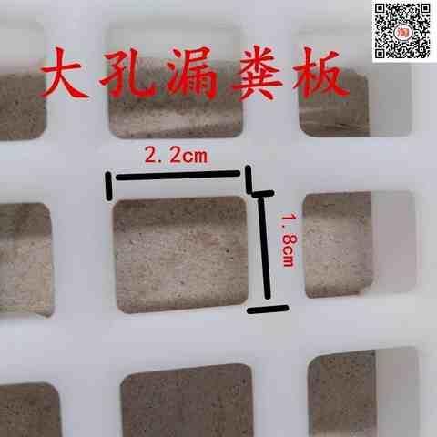 养殖鸭舍鸽子床地网网格养殖漏粪网片鸽子用O塑料鸡鹅养鸡鸭鹅用