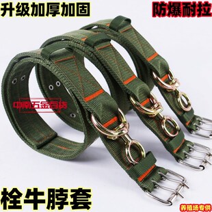 牛脖套加厚耐磨牛颈圈牵牛绳子牛场育肥牛脖圈超厚栓牛项圈一整套