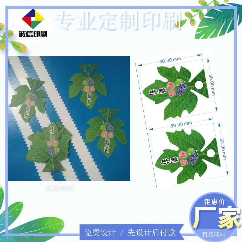 个性订做异型葡萄吊牌免费设计水果不干胶标签菠萝包装挂牌印刷,文具电教/文化用品/商务用品,吊牌,淘宝优惠券,粉丝福利购,淘宝优惠卷
