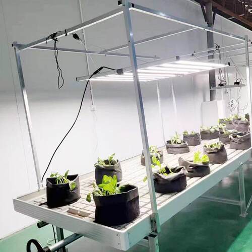 带灯架横杆立杆支架苗床棚温室灌溉大工艺花卉移育动潮汐苗床厂家