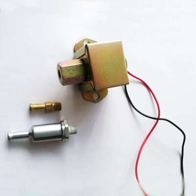 方泵电子燃油泵FuelPump3797522,4299544,4306842,4464613