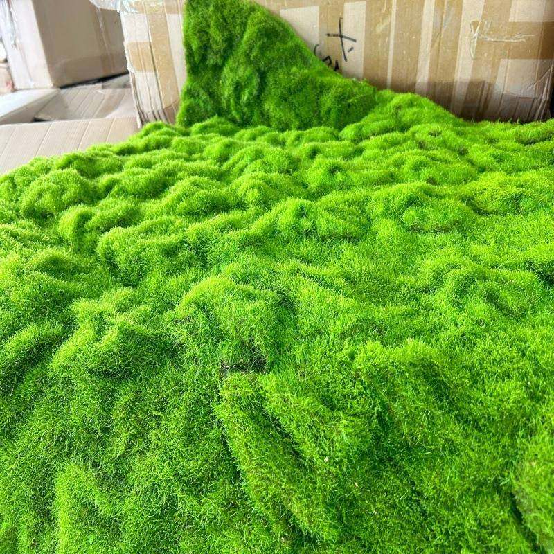 仿真植物绿植墙苔藓青苔地毯草坪景观园林铺设门头水族长廊文化装,自行车/骑行装备/零配件,更多零件/配件,淘宝优惠券,粉丝福利购,淘宝优惠卷