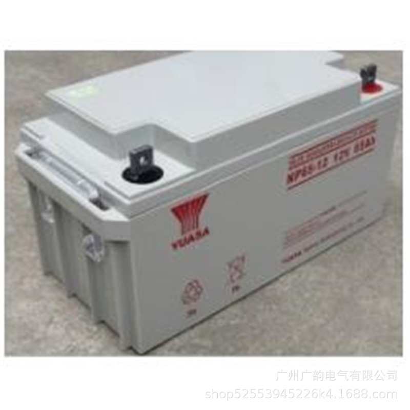 12V65AHups电源后备蓄电池 汤浅NP65-12铅酸免维护电池 金融应急