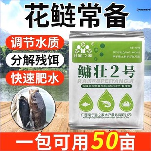 花白鲢速长肥水产养殖专用大头鱼轮虫培养分解残饵X肥水鳙壮厂家