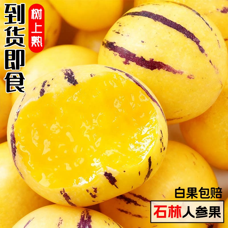 云南人参果水果3斤大果黄肉新鲜石林人叁果树上熟人生果圆果整箱