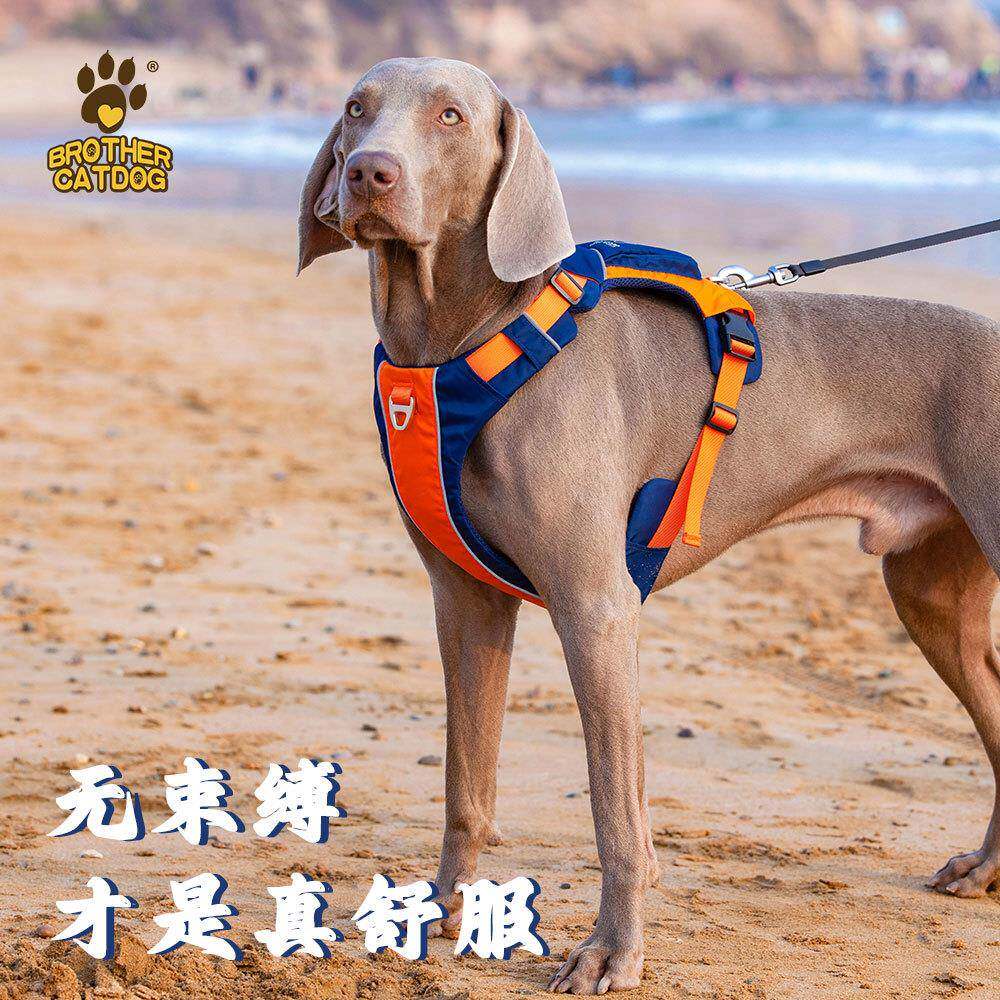 新款狗狗胸背带背心式背带金毛拉布拉多狗胸背牵引绳大型犬