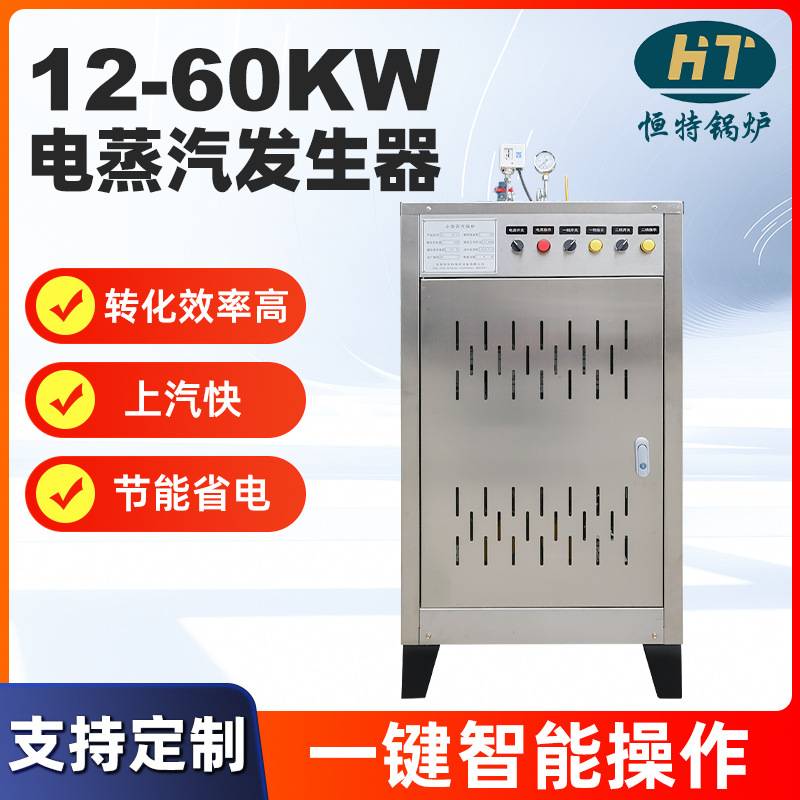 不锈钢电蒸汽发生器12-60kw家电蒸汽锅炉工业家用商用蒸汽锅炉