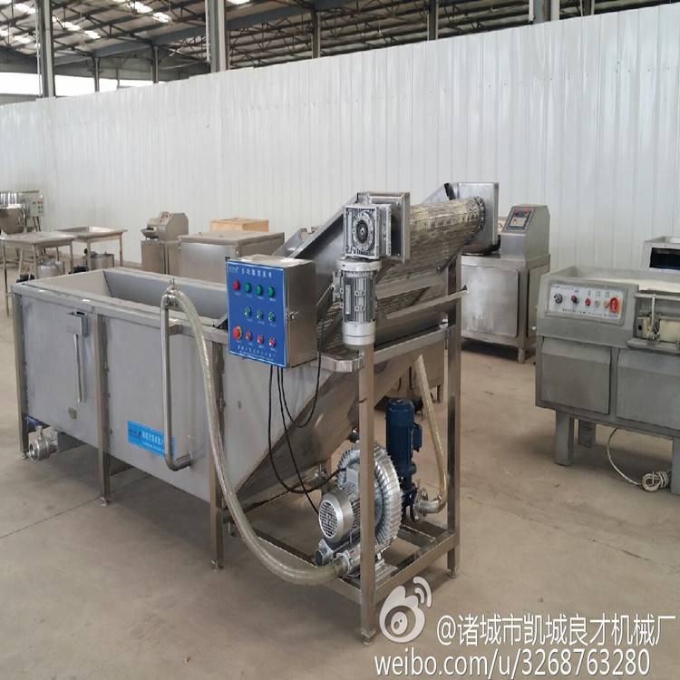 供应双杠洗菜机 果蔬清洗机 多功能商用大枣清洗机厂家