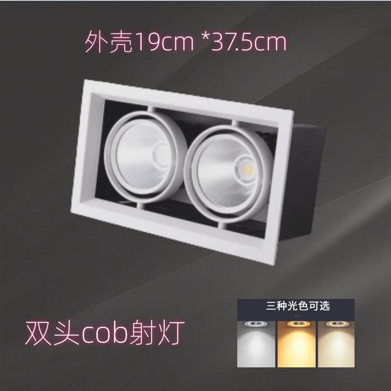 led斗胆灯双头三头双射灯筒灯方格栅嵌入式长方形斗X胆灯格栅吊顶