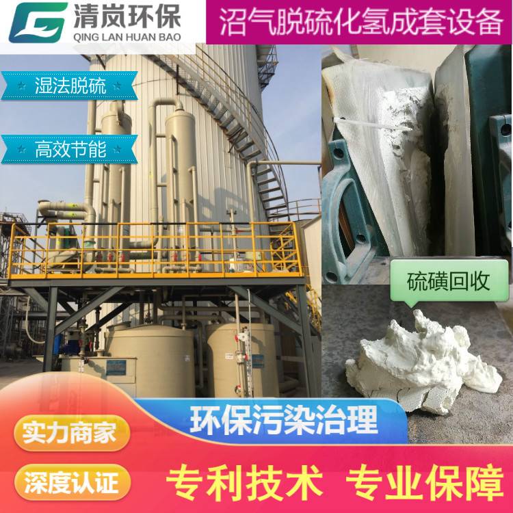 沼气发电提纯 沼气脱碳除臭环保设备 厌氧硫化氢净化成套喷淋塔