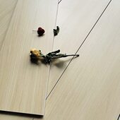 200×1000日式 木纹砖仿实木卧室阳台木纹瓷砖奶油色地砖客厅地板